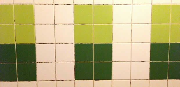 健康を害する恐怖の危険カビ『エクソフィアラ』