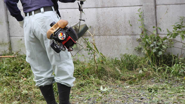 静岡片付け110番の草刈りサービス