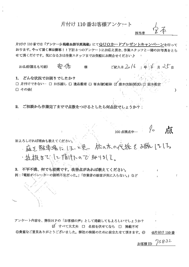 松の木伐採 安倍さま(男性)