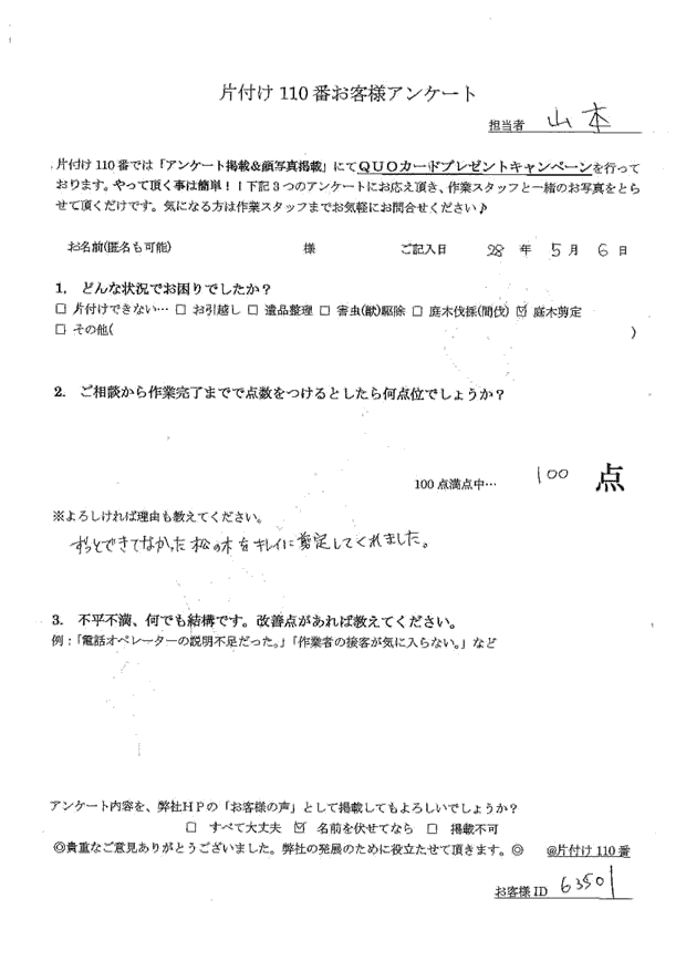 【静岡市】自分では管理不能になってしまっていた松の木剪定希望